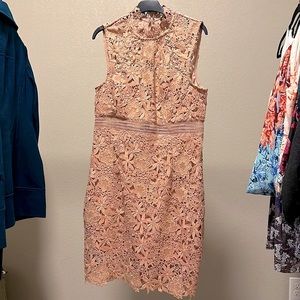 NWT Bardot Paris lace floral sleeveless, color bloom/neutral dress Sz 10 Large